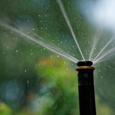 Sprinkler system watering flower in park.